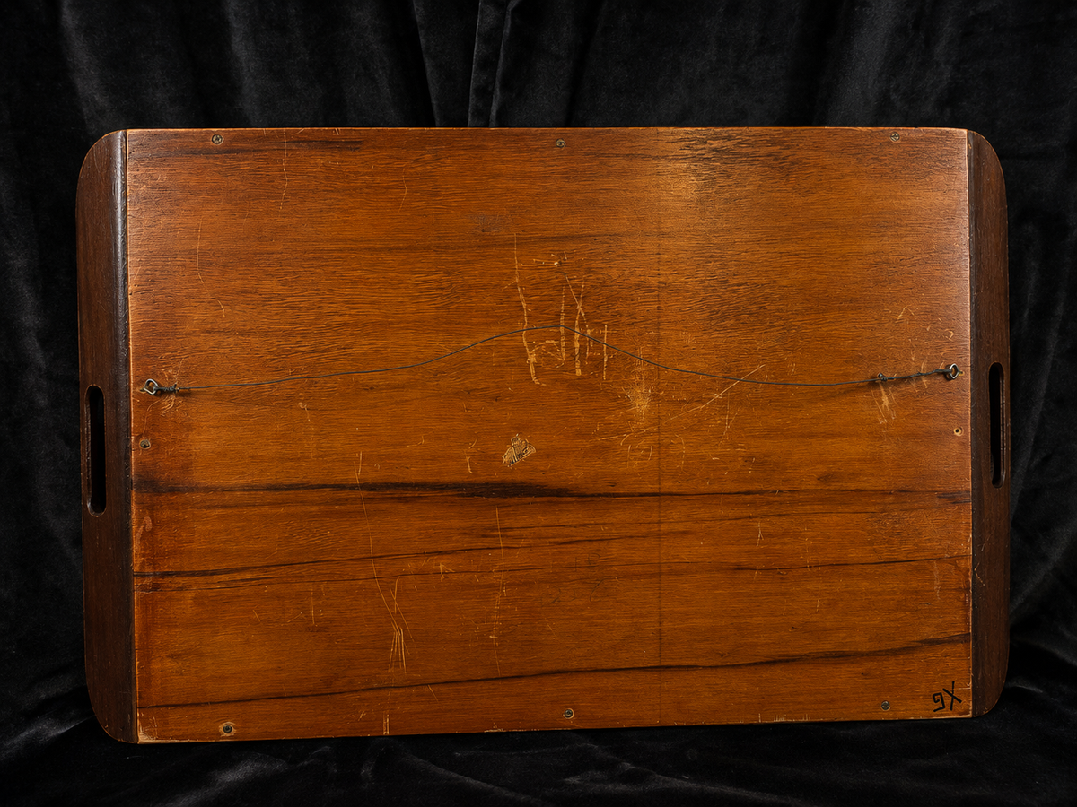 Vintage Brazilian Butterfly & Moth Wing Art Serving Tray