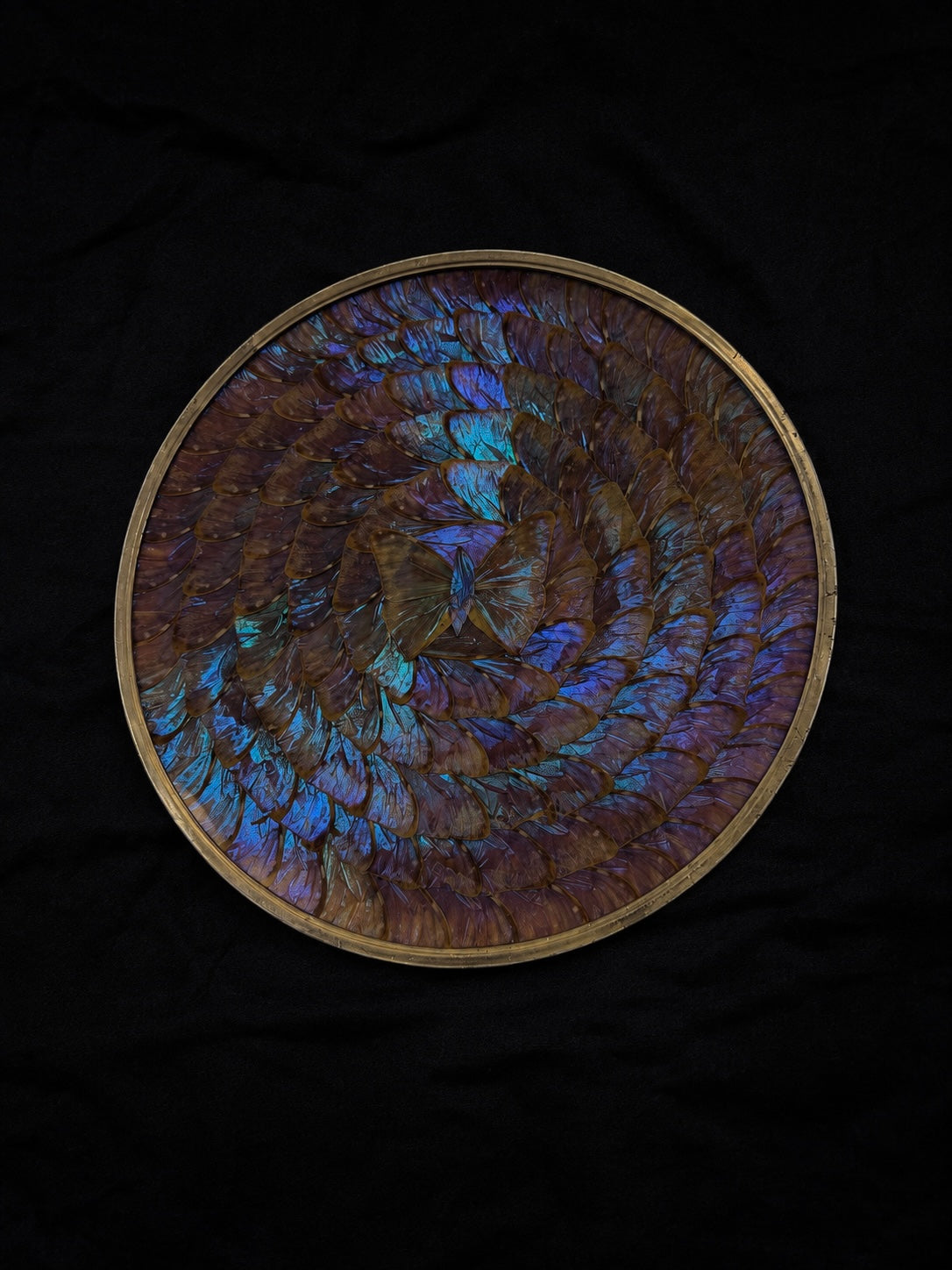 Large Vintage Morpho Butterfly Wing Mosaic Display Plate