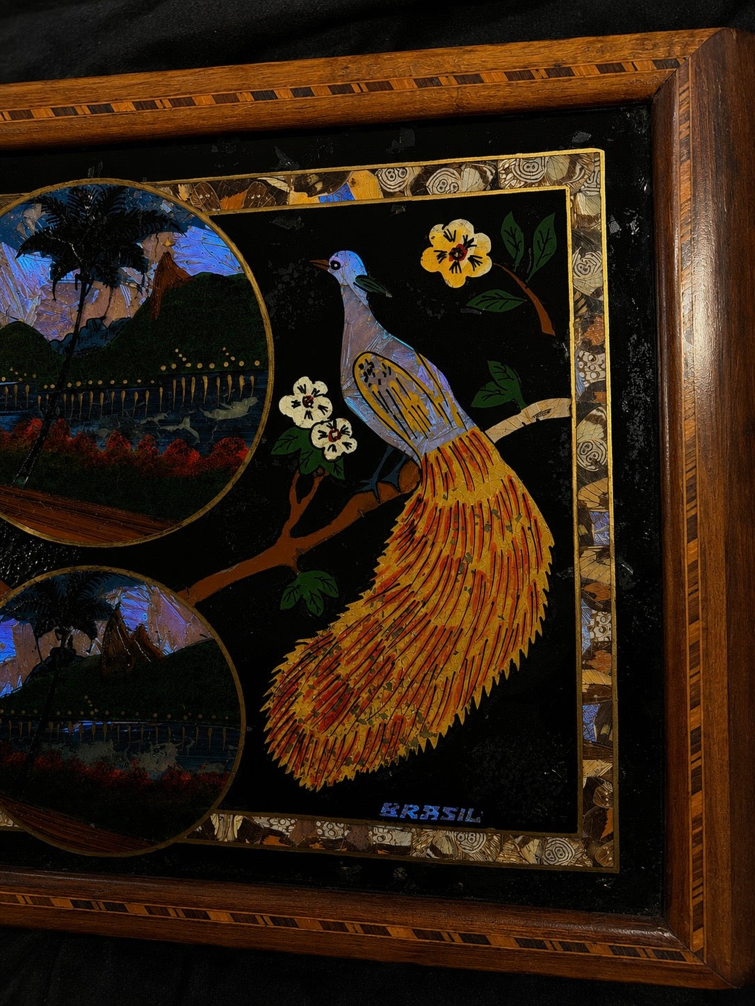 Vintage Brazilian Butterfly & Moth Wing Art Serving Tray