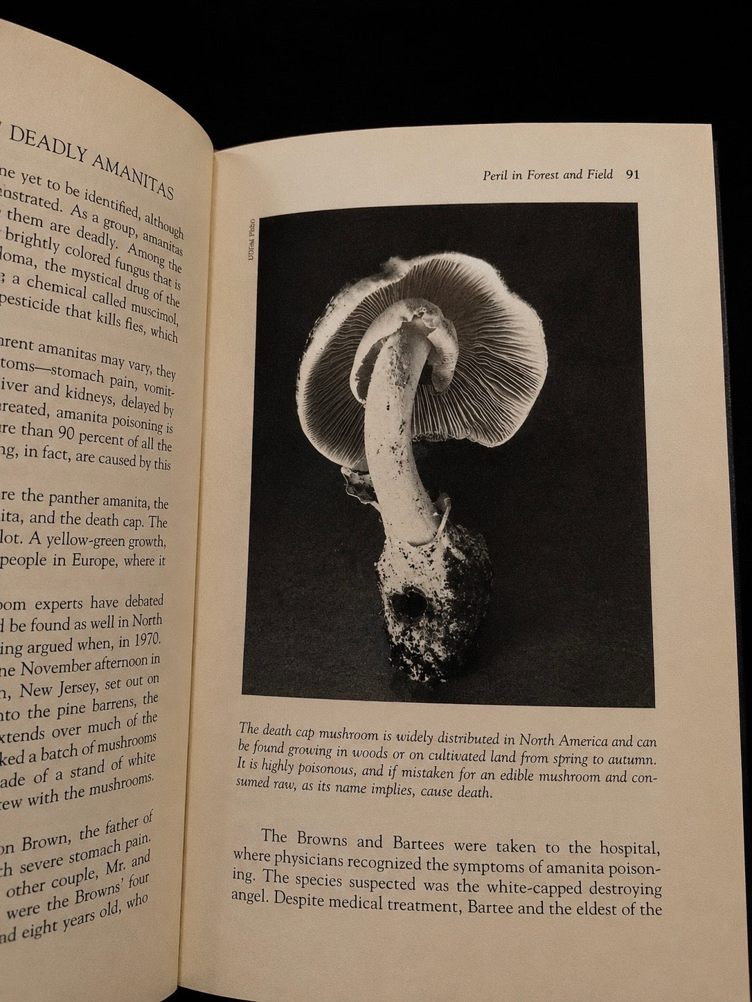 The Devil’s Garden: Facts and Folklore of Perilous Plants (1978)