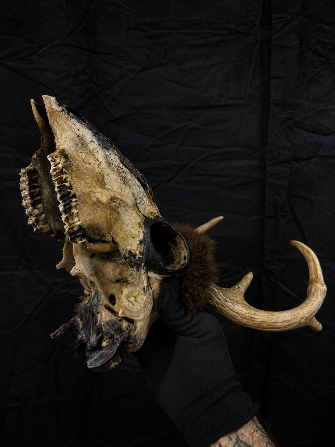 Vintage Folk Art Deer Skull w/ Painted Skin