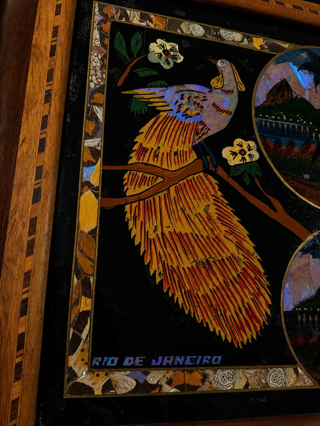Vintage Brazilian Butterfly & Moth Wing Art Serving Tray