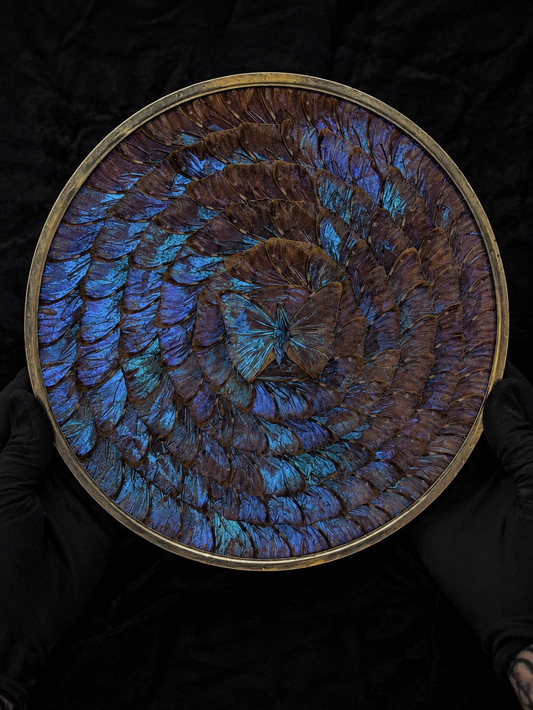 Large Vintage Morpho Butterfly Wing Mosaic Display Plate