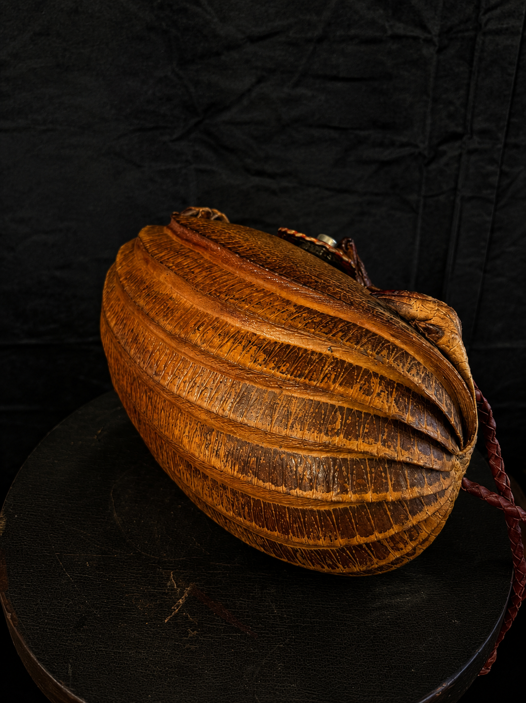 Mid-Century Taxidermy Armadillo Purse w/ Mirror & Braided Strap