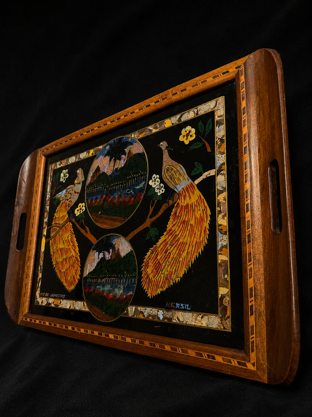 Vintage Brazilian Butterfly & Moth Wing Art Serving Tray