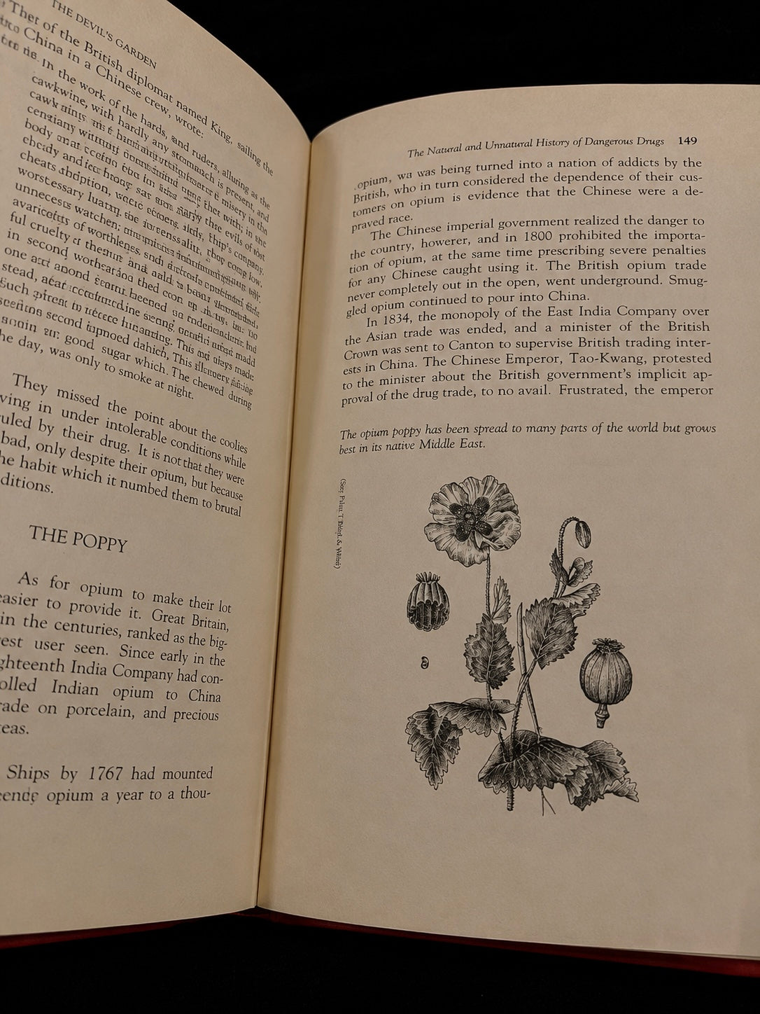 The Devil’s Garden: Facts and Folklore of Perilous Plants (1978)