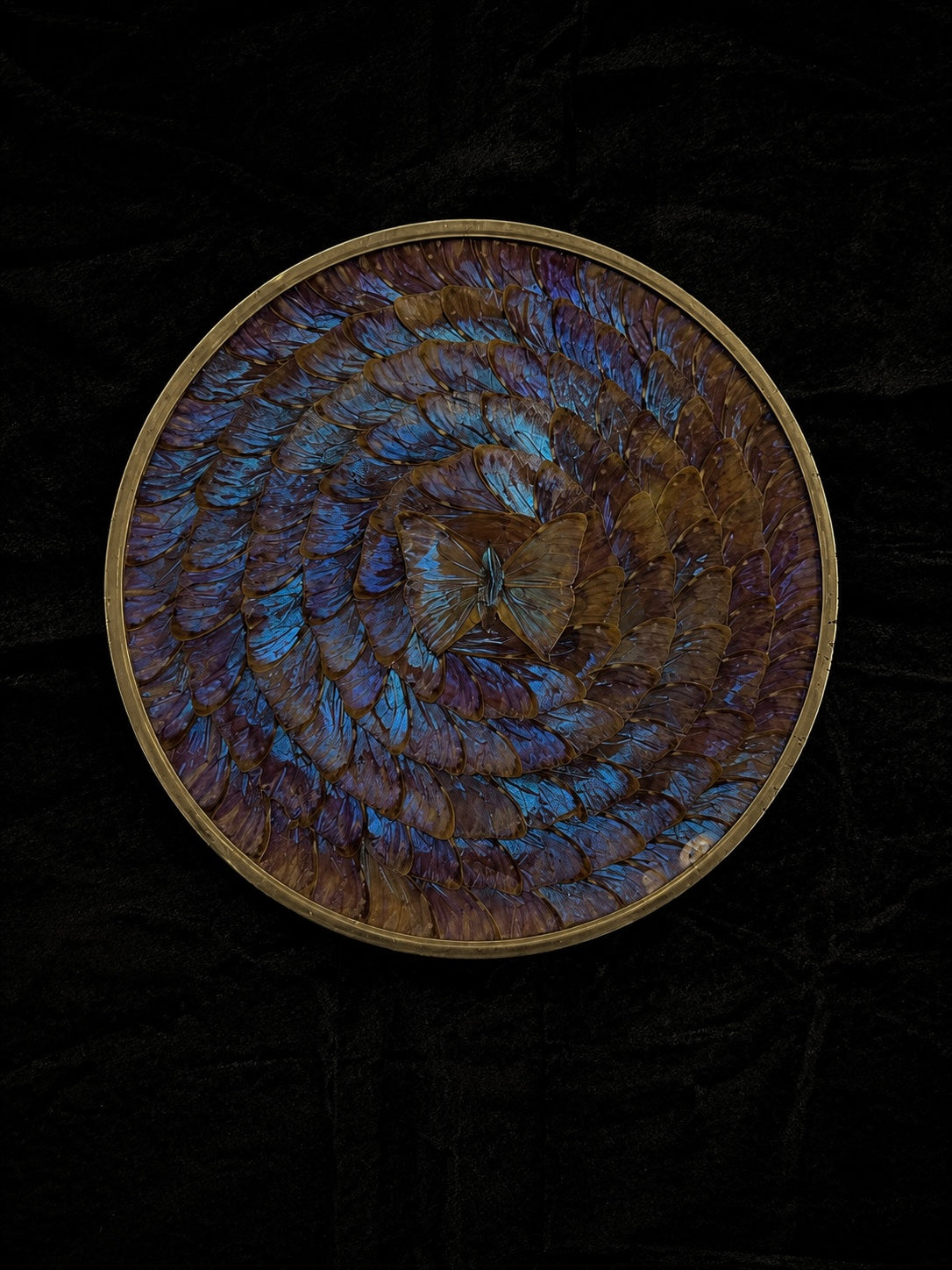 Large Vintage Morpho Butterfly Wing Mosaic Display Plate