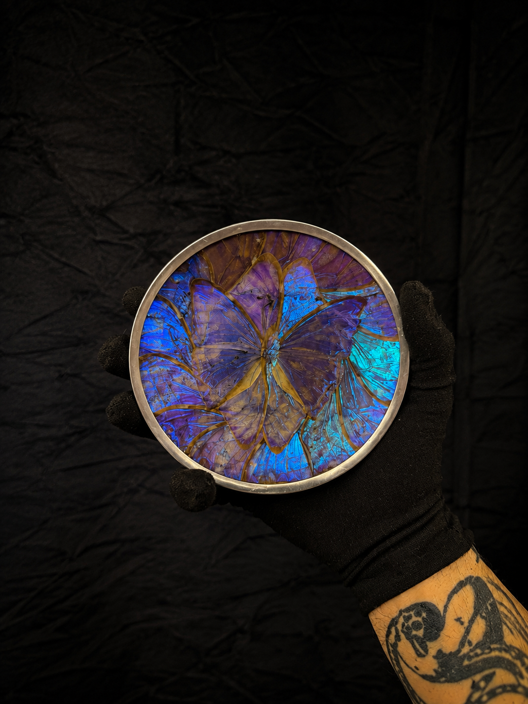 Small Vintage Morpho Butterfly Wing Mosaic Display Plate