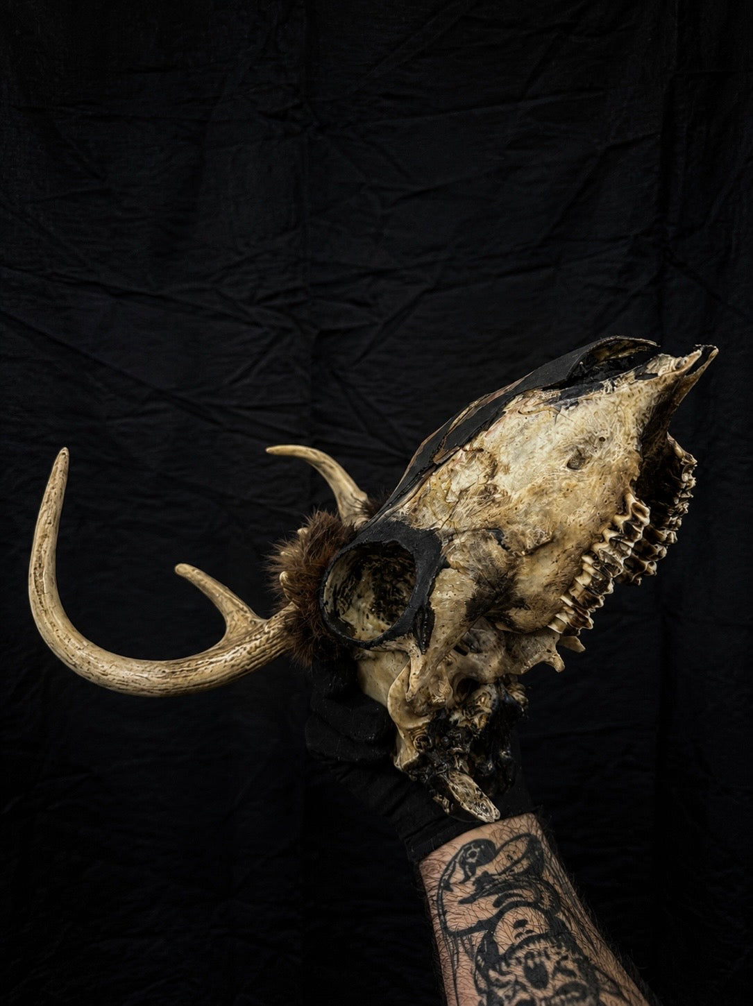 Vintage Folk Art Deer Skull w/ Painted Skin