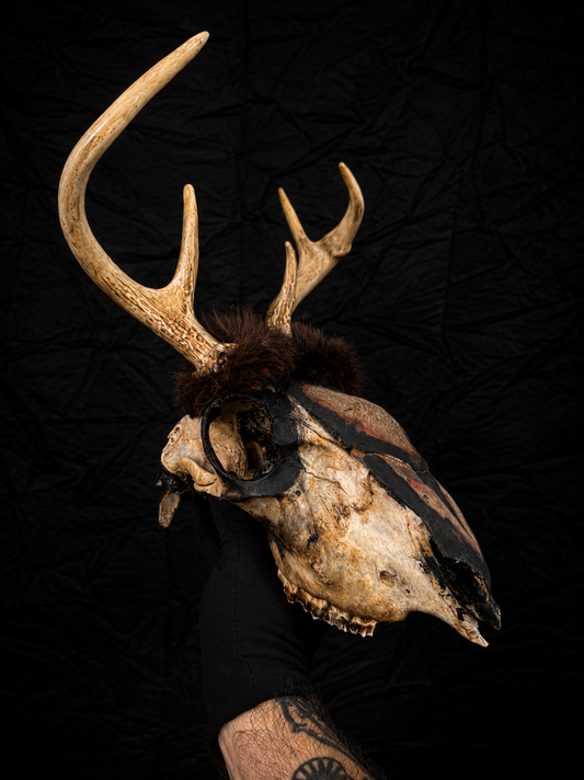 Vintage Folk Art Deer Skull w/ Painted Skin
