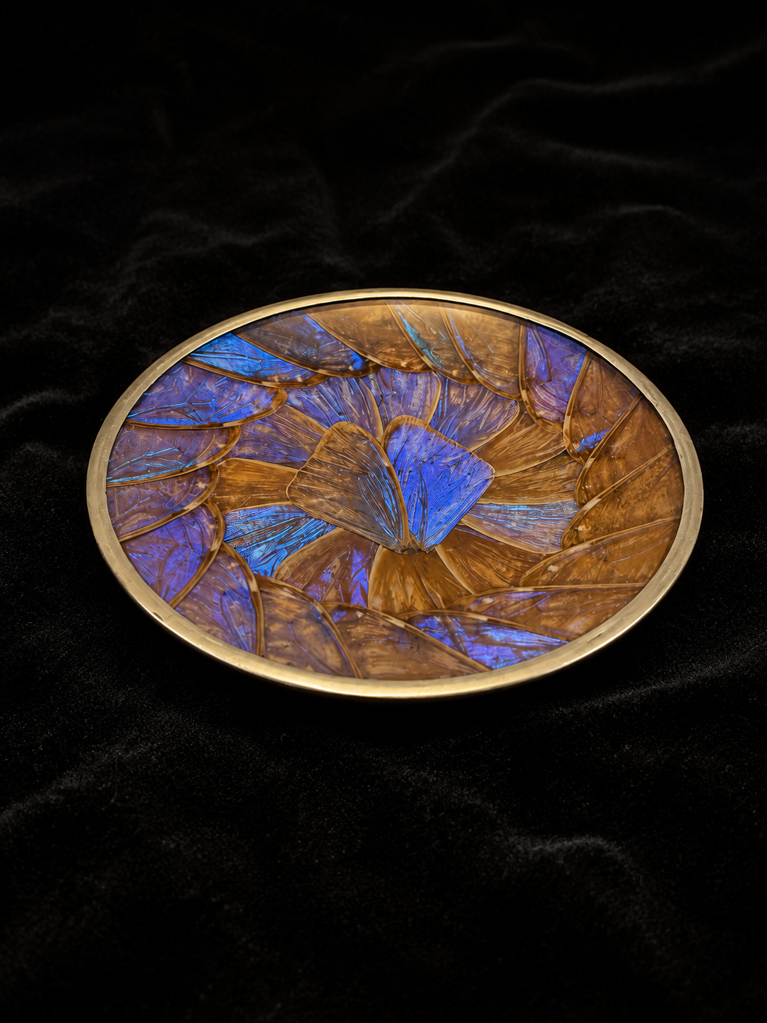 Medium Vintage Morpho Butterfly Wing Mosaic Display Plate