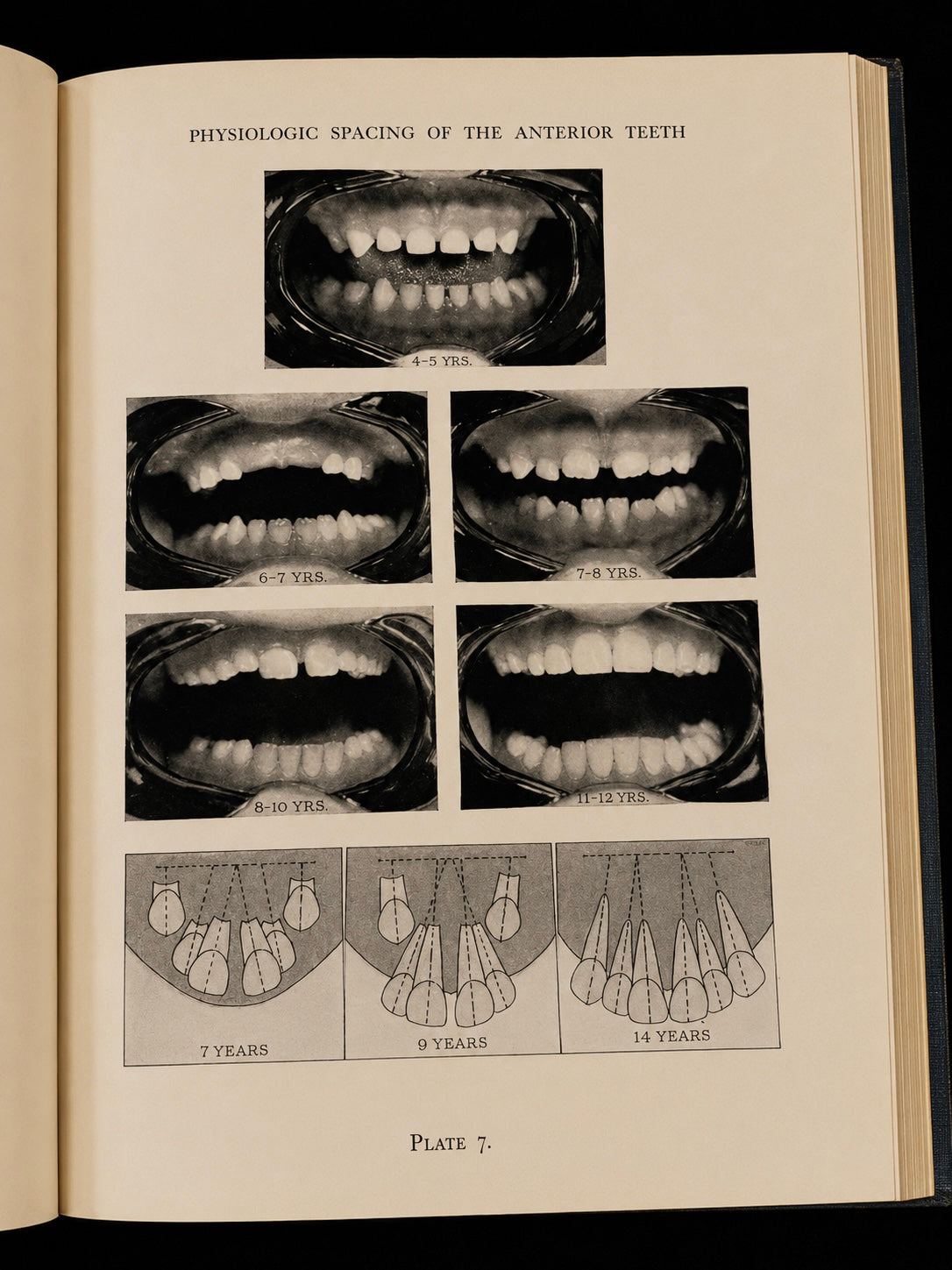 Atlas of the Mouth (1944)