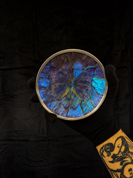Small Vintage Morpho Butterfly Wing Mosaic Display Plate
