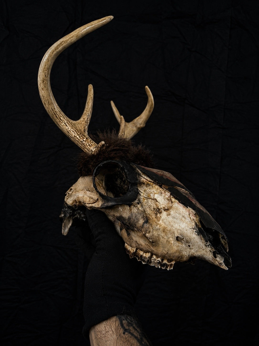 Vintage Folk Art Deer Skull w/ Painted Skin