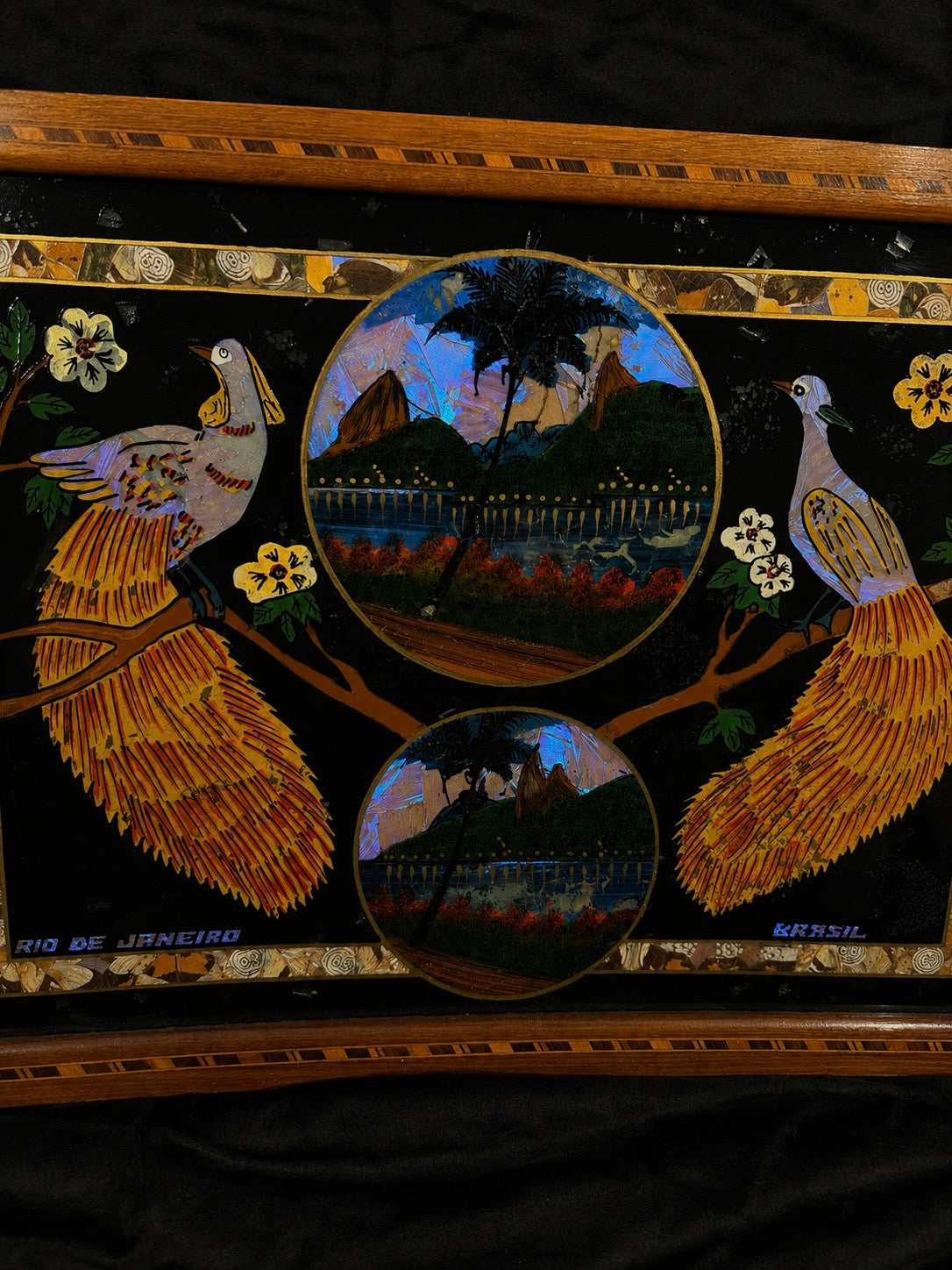 Vintage Brazilian Butterfly & Moth Wing Art Serving Tray