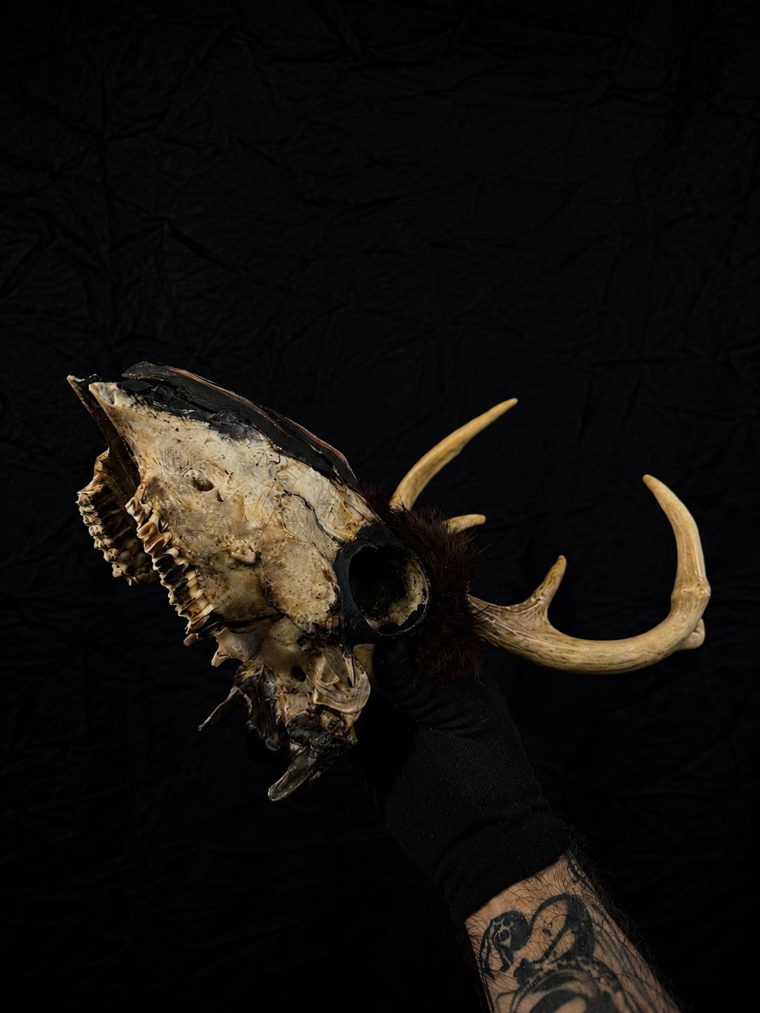 Vintage Folk Art Deer Skull w/ Painted Skin