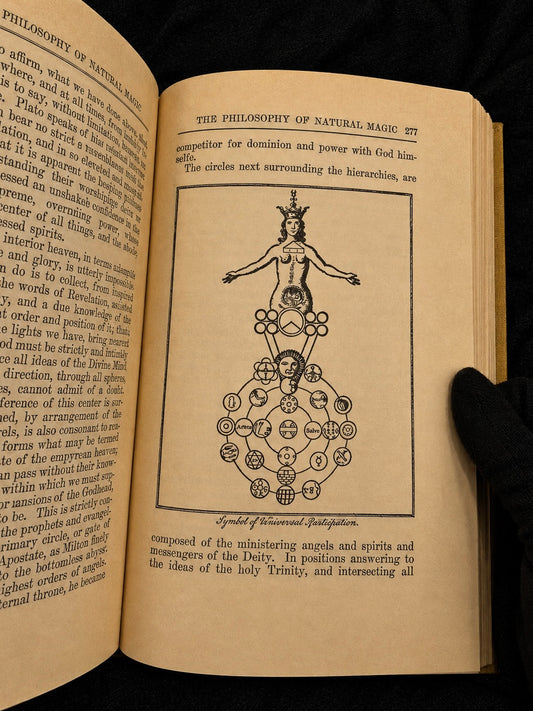 The Philosophy Of Natural Magic (1974)