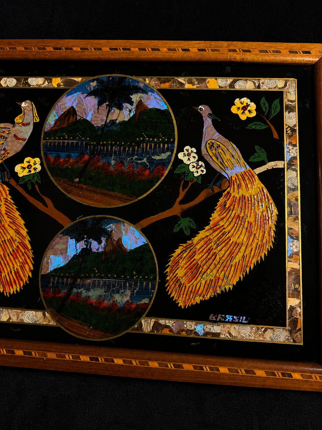 Vintage Brazilian Butterfly & Moth Wing Art Serving Tray