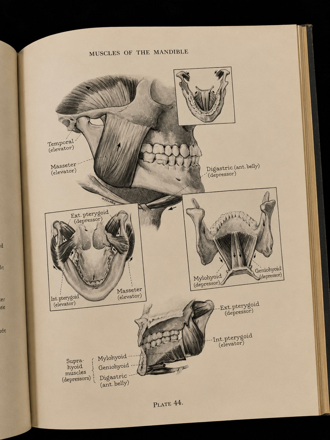 Atlas of the Mouth (1944)