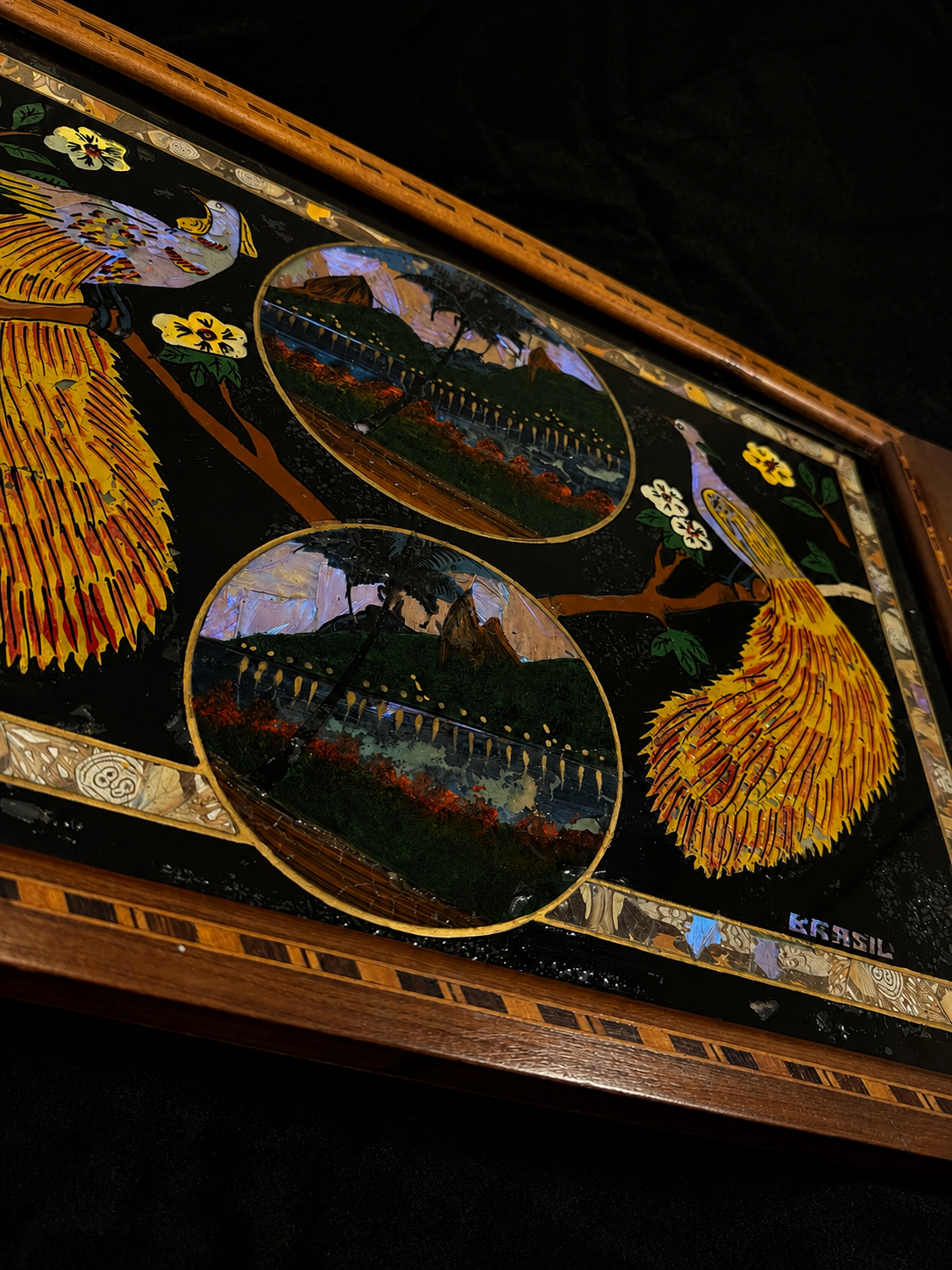Vintage Brazilian Butterfly & Moth Wing Art Serving Tray