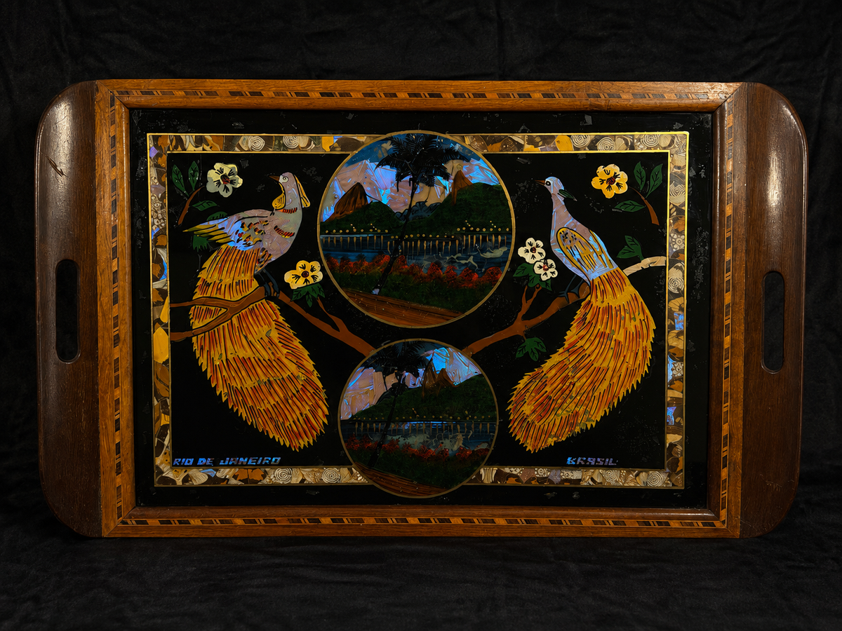 Vintage Brazilian Butterfly & Moth Wing Art Serving Tray