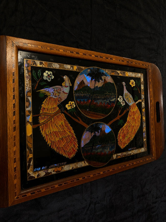 Vintage Brazilian Butterfly & Moth Wing Art Serving Tray