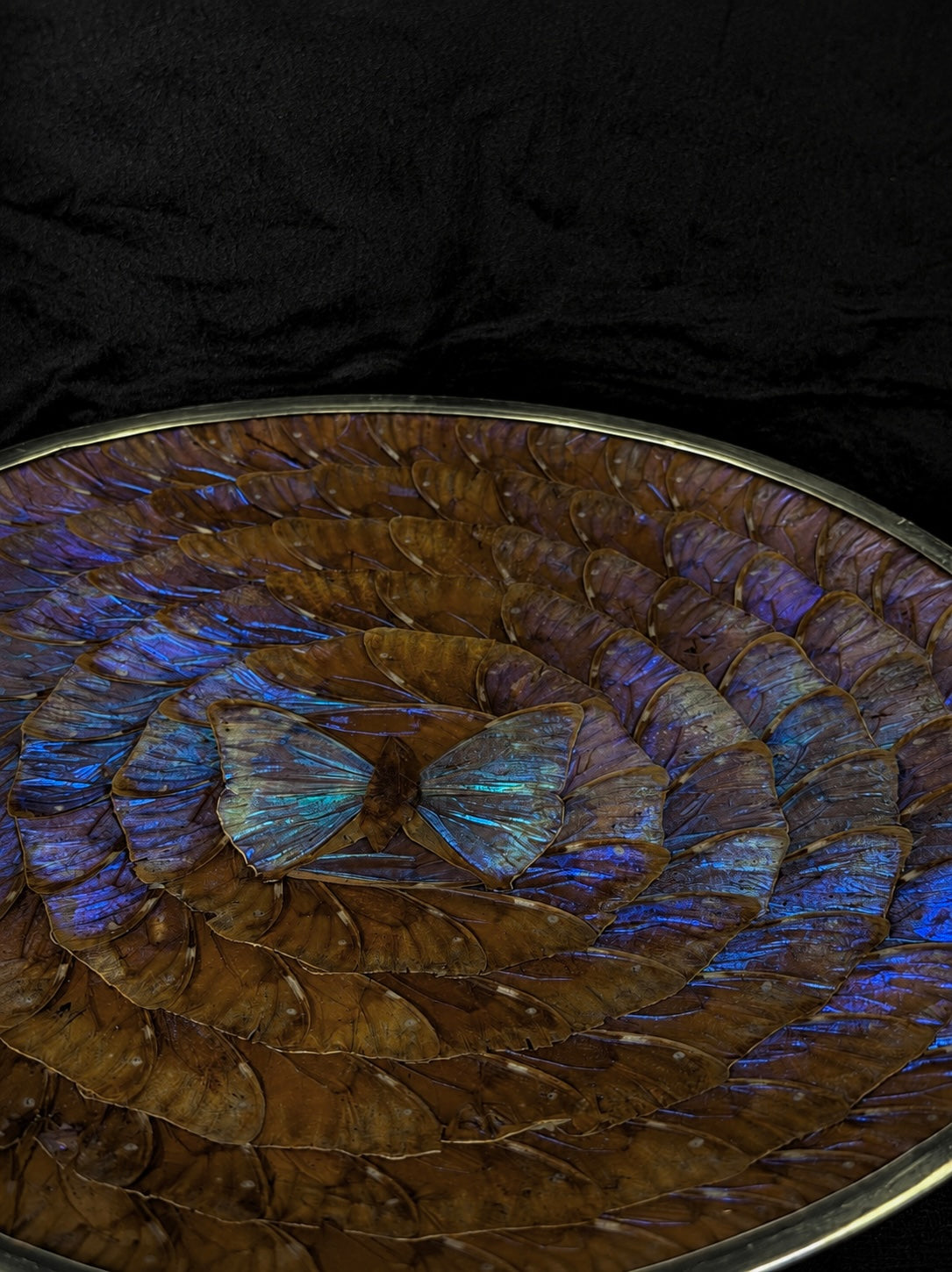 Large Vintage Morpho Butterfly Wing Mosaic Display Plate