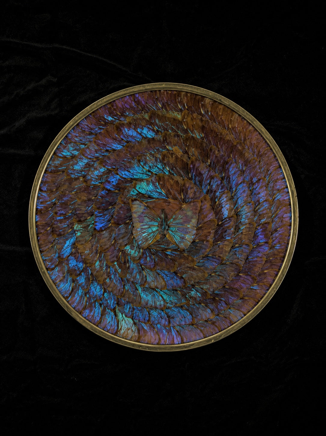 Large Vintage Morpho Butterfly Wing Mosaic Display Plate